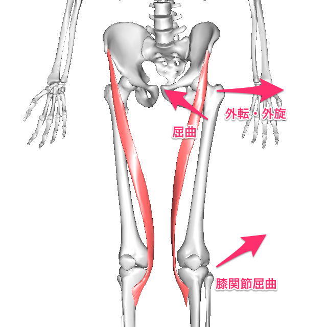 膝の痛み ニュース画像1