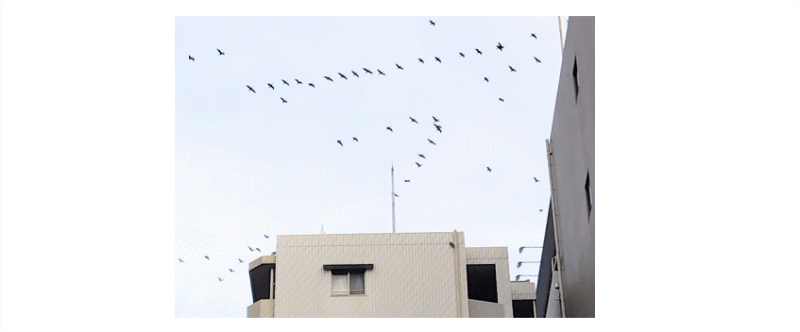 科学者がそれを実証しているのですが　　税理士ブログ ニュース画像1