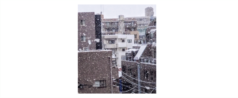 いとう会計事務所 ニュース画像1