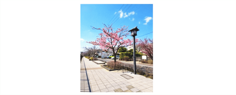 いとう会計事務所 ニュース画像1