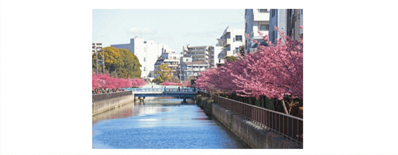 いとう会計事務所 ニュース画像1