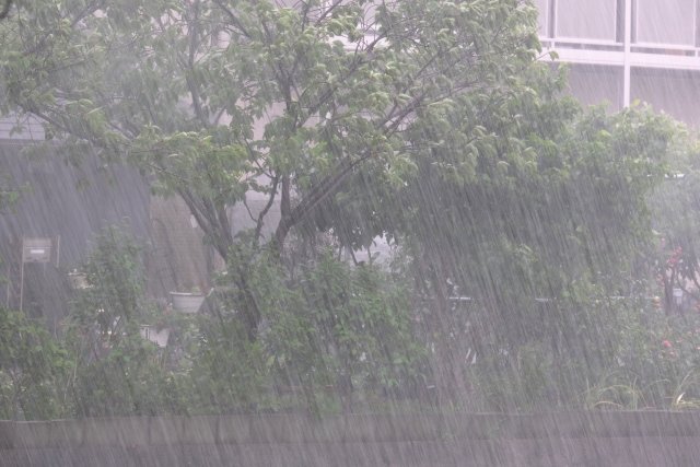線状降水帯とゲリラ豪雨 ニュース画像1