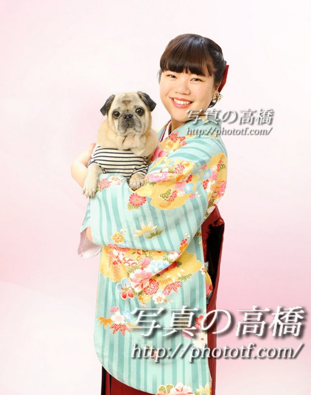★卒業式写真は江戸川区小岩!輝く未来にペットと一緒!★ ニュース画像3