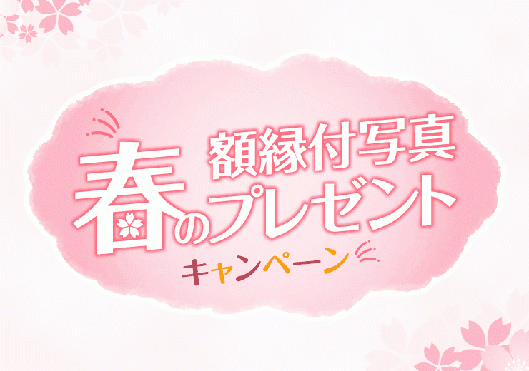 マキノ写真スタジオ ニュース画像1