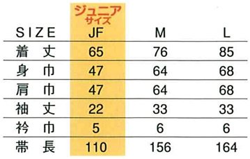 お祭り・イベントに最適!トロピカルハッピ ニュース画像3