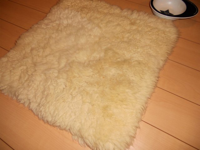 お風呂嫌いのペットに最適な除菌消臭剤!! ニュース画像3