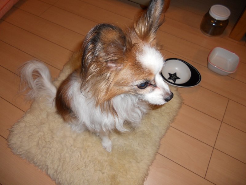 ツインズ 株式会社 ニュース画像1