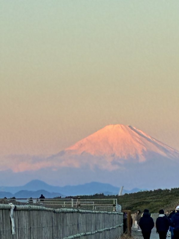 ♪  今年もよろしくお願い致します　♪ ニュース画像1
