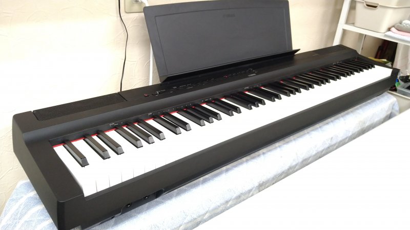 販売開始 しました ニュース画像1