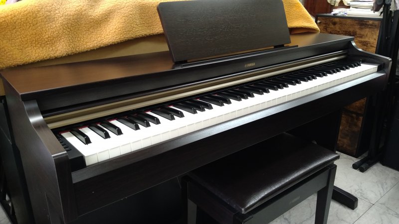 販売開始 しました ニュース画像1