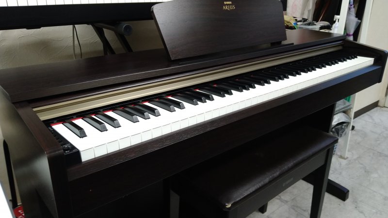 販売開始 しました ニュース画像1