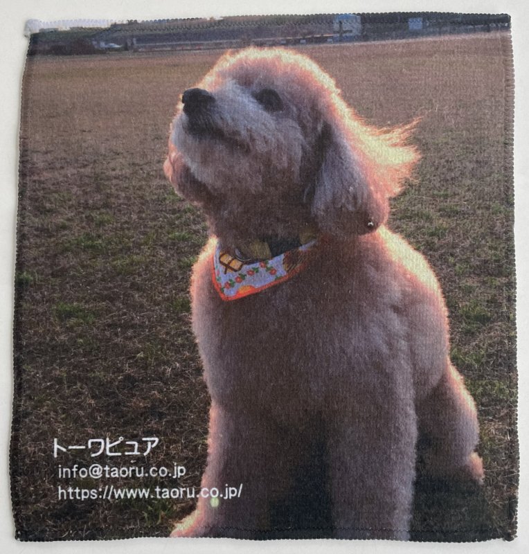 株式会社トーワピュア ニュース画像1