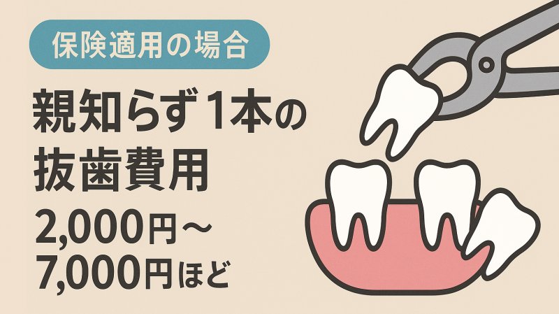 親知らず抜歯費用は？保険適用と自費の相場・内訳を解説 ニュース画像1