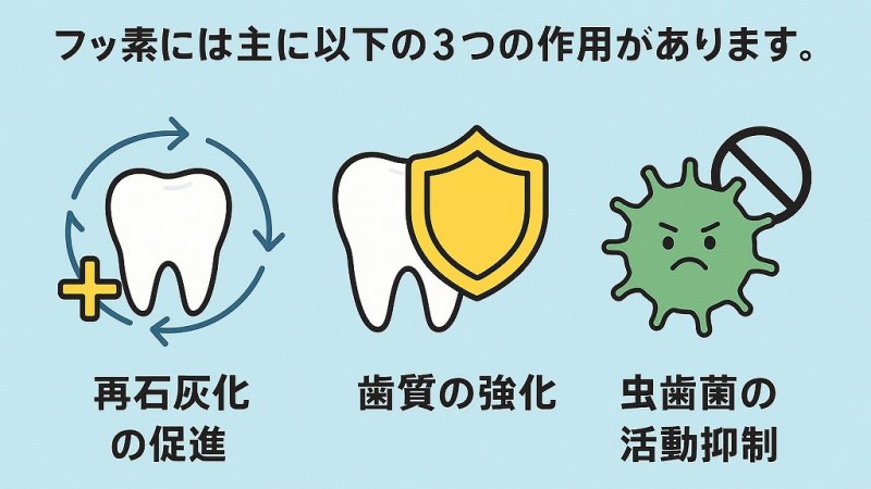フッ素とは?歯を守る科学的メカニズムをわかりやすく解説 ニュース画像1