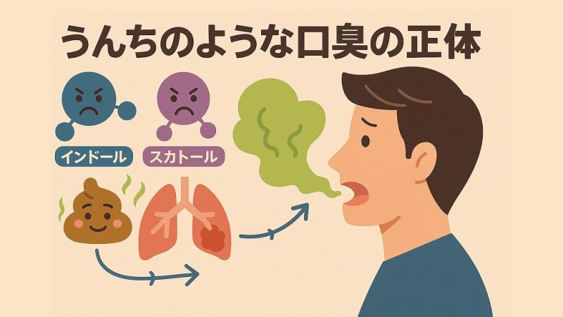 口臭が「うんち臭い」原因は?口腔・腸・全身疾患との関係 ニュース画像1