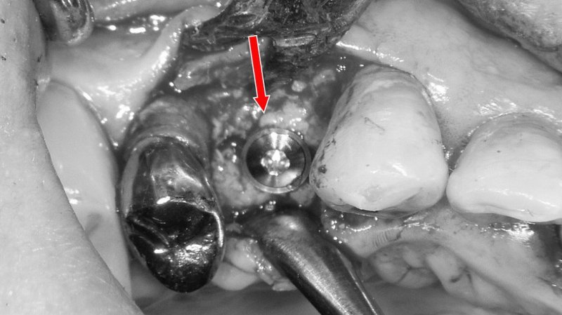 医療法人社団スマイル会 ふかさわ歯科クリニック篠崎 ニュース画像1