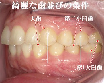 医療法人社団スマイル会 ふかさわ歯科クリニック篠崎 ニュース画像1
