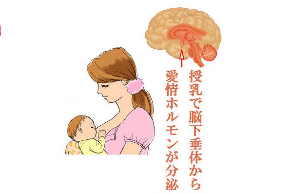 卒乳の基礎から実践まで網羅｜時期・進め方・母子への影響 ニュース画像1