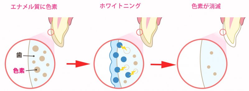 医療法人社団スマイル会 ふかさわ歯科クリニック篠崎 ニュース画像1