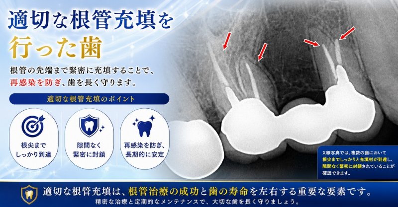 医療法人社団スマイル会 ふかさわ歯科クリニック篠崎 ニュース画像1