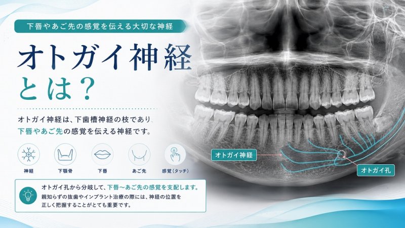 医療法人社団スマイル会 ふかさわ歯科クリニック篠崎 ニュース画像1