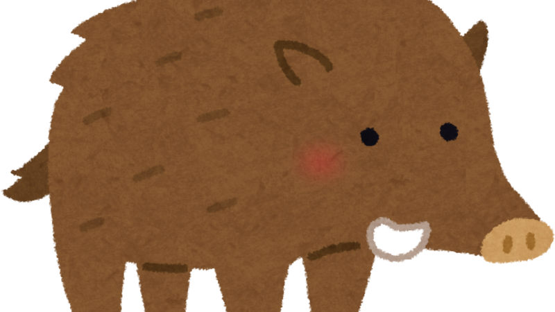 くらし応援情報!イノシシ, 江戸川区の対応 ニュース画像1