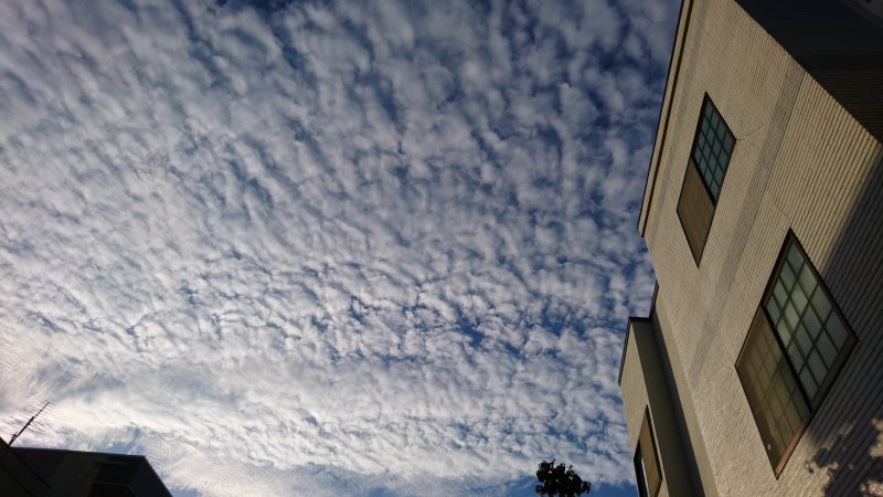 新年、明けましておめでとう。「愛」について述べます。 ニュース画像1