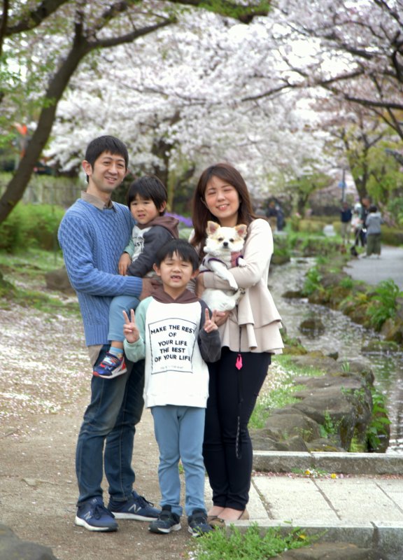 桜風景の家族写真撮影受付中！ ニュース画像2
