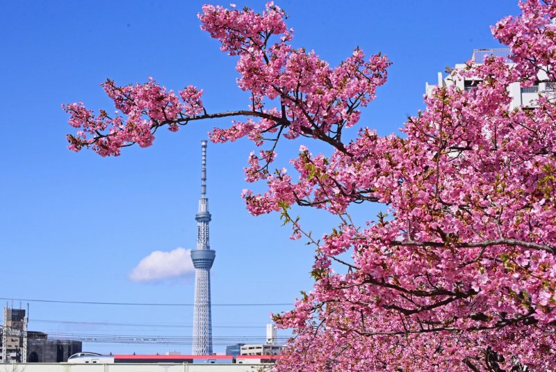 3300の写真画像を販売中！！ ニュース画像1