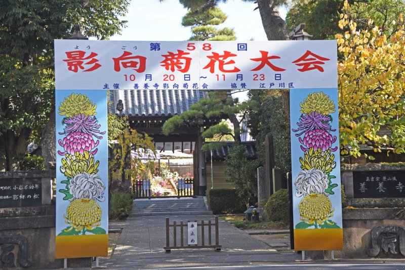 出張写真撮影 写真屋 ウエムラ（旧フォトショップ篠崎） ニュース画像1