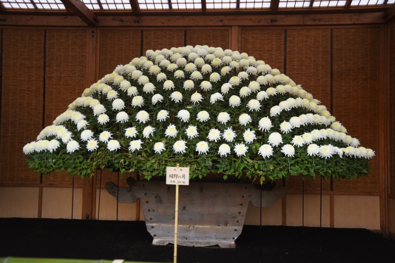 出張写真撮影 写真屋 ウエムラ（旧フォトショップ篠崎） ニュース画像1