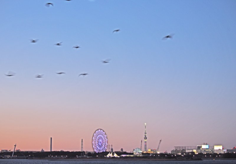 出張写真撮影 写真屋 ウエムラ（旧フォトショップ篠崎） ニュース画像1