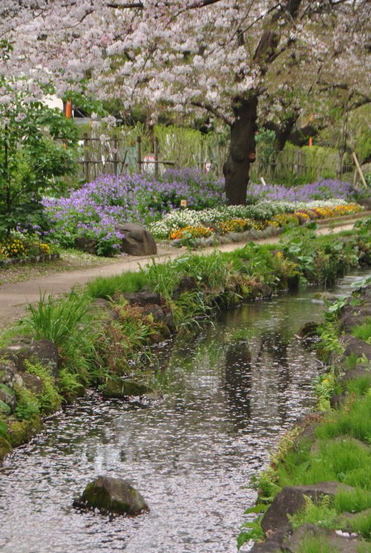 出張写真撮影 写真屋 ウエムラ（旧フォトショップ篠崎） ニュース画像1