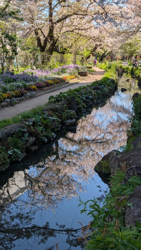 出張写真撮影 写真屋 ウエムラ（旧フォトショップ篠崎） ニュース画像1