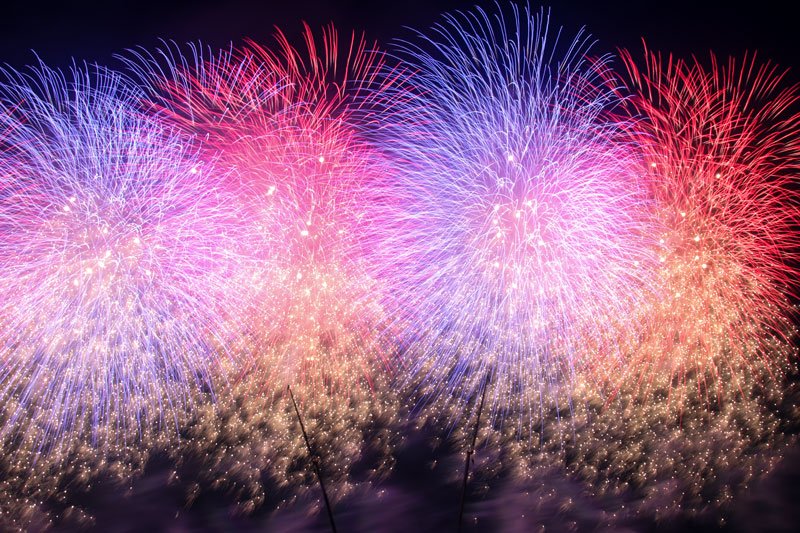 第50回江戸川区花火大会観覧の様子 ニュース画像3