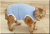猫のおむつカバー 画像